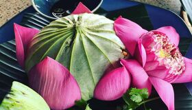 Rice Steamed in Lotus Leaves Dong Thap - Mekong Delta